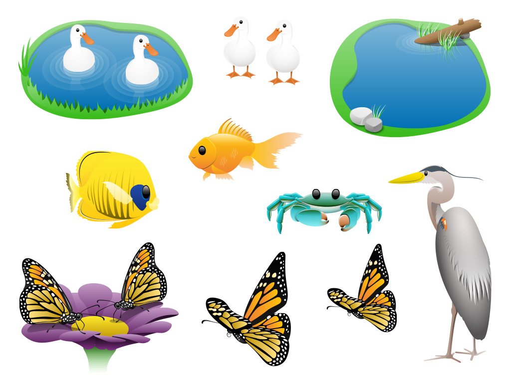 Go Math Production Graphics Animals