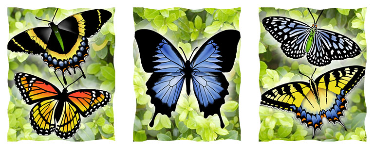 Silhouette Butterflies Design