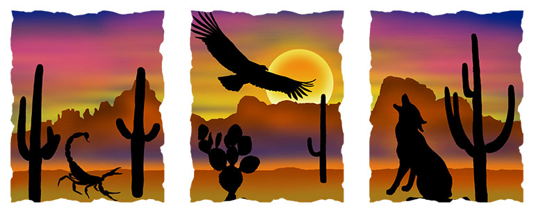 Silhouette Southwest Desert Design