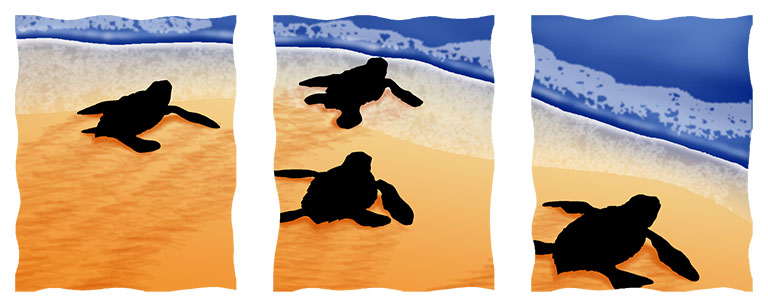 Silhouette Baby Sea Turtles Design